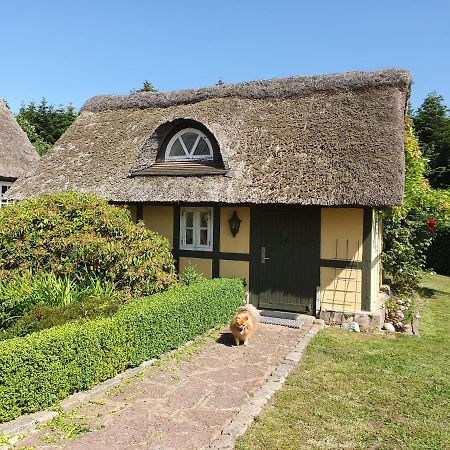 Zara'S B&B Horsens Eksteriør billede