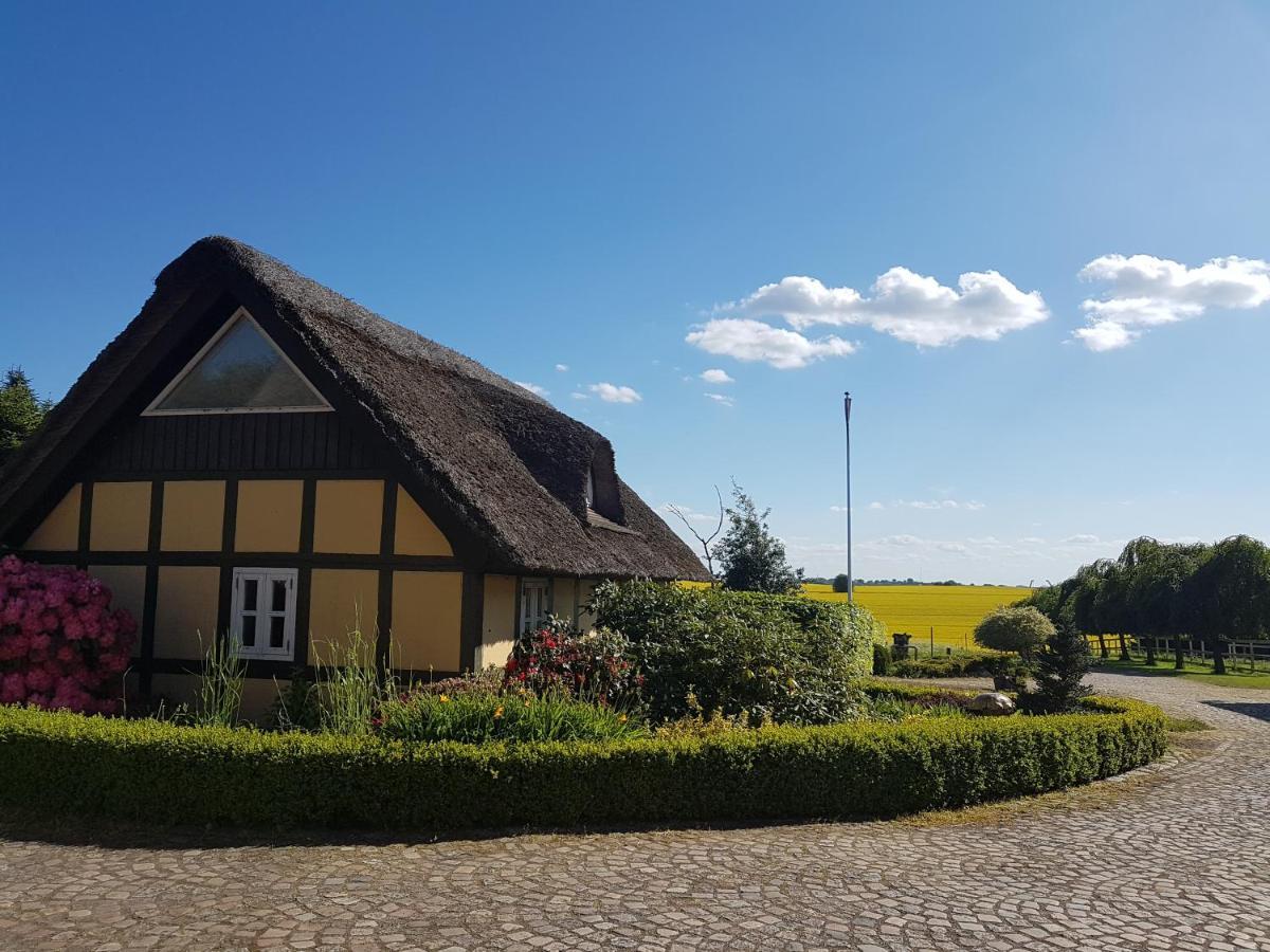 Zara'S B&B Horsens Eksteriør billede