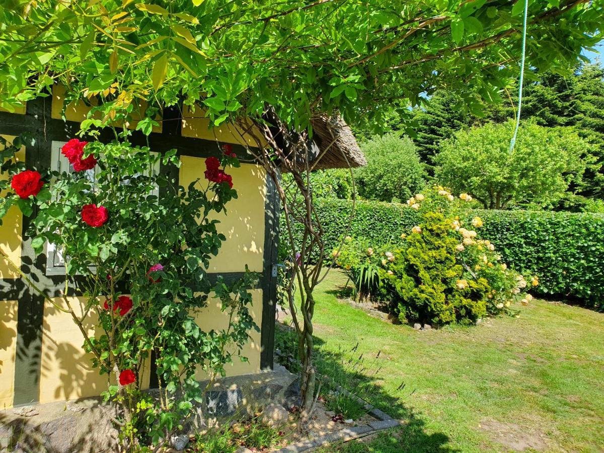 Zara'S B&B Horsens Eksteriør billede