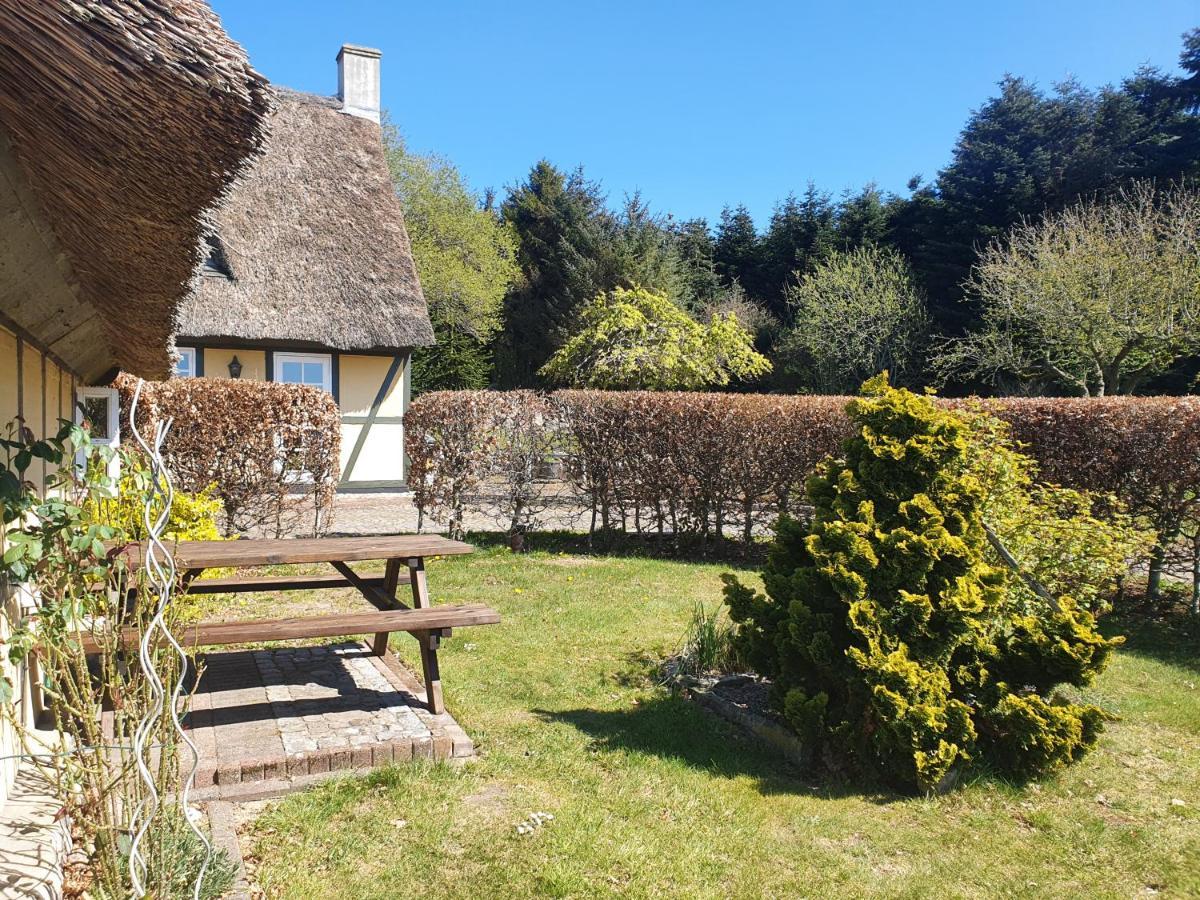 Zara'S B&B Horsens Eksteriør billede